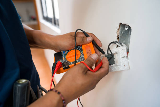 Best Electric Panel Repair  in St Augustine Shores, FL